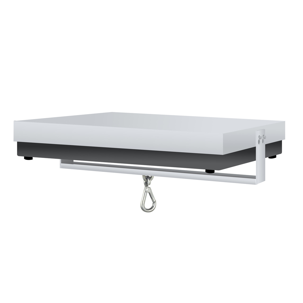 Pesage en fosse KERN DS-A01