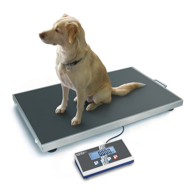 Balance pour colis KERN EOS 150K50XL